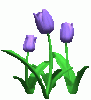 blumen-pflanzen051.gif