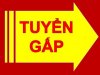 tuyen tho-giabaorack.JPG