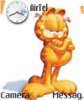 Garfield3.jpg