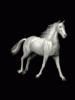 040206_galop_1__1_.gif