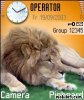 lion20_733.jpg