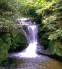 waterfall10.gif