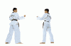 kungfu17.gif