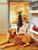 dogs-cats-teamwork-cake-refrigerator.jpg