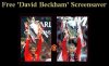 David Beckham.jpg