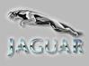 logo Jagaur.jpg