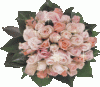 blumen-pflanzen108.gif