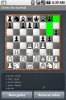 1238515433_chess-for-android-mid-1.jpg