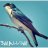 Swallow Bird