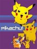 Pikachu240x320.JPG
