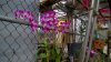 WP_20140730_15_44_36_Pro.jpg