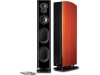 Polkaudio LSiM 707.jpeg