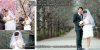 Hoc-photosshop.jpg