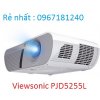 -viewsonic-pjd5255l.jpg