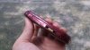 DSC_0076 (FILEminimizer).jpg