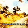 n30.gif