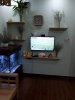 ^DB41A644781B9F620D19C8C052E851F4E5BC0B630929DA8E52^pimgpsh_fullsize_distr.jpg