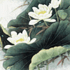 GHDPC00006.gif