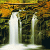 GHDPC00051.gif