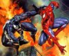 spiderman-wallpaper-131.jpg