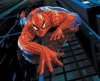 spiderman-wallpaper-151.jpg