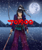 Tomoe.Massacre.at.Shinano.Proper.S60.SymbianOS7.Retail_SymBoSS [nu ninja].gif