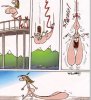 jump.jpg