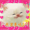 CA2.gif
