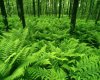 green-768.13.03.jpg