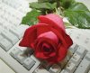 morozov-dsc02318_filtered.13.03.jpg