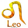 leo.jpg