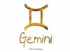 gemini.jpg