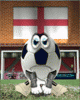 Footie2.gif