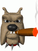 dog.gif