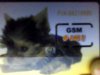 WebCam_20080506_0122.jpg