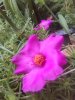 IMG0014A.jpg