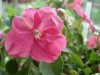 DSC03350.JPG