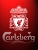 liverpoolf_5yet84on.jpg