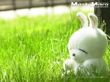 appile