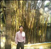 tình về nơi đâu