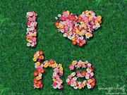 hathi9x