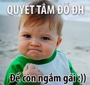 Trịnh Gia