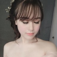 —™ Mèo Vàng ◘—