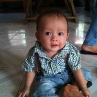bao gia