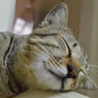 meobumi