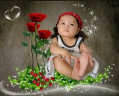 binh_proh71