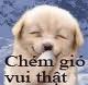 maume999