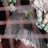 sohma