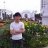 lam12345